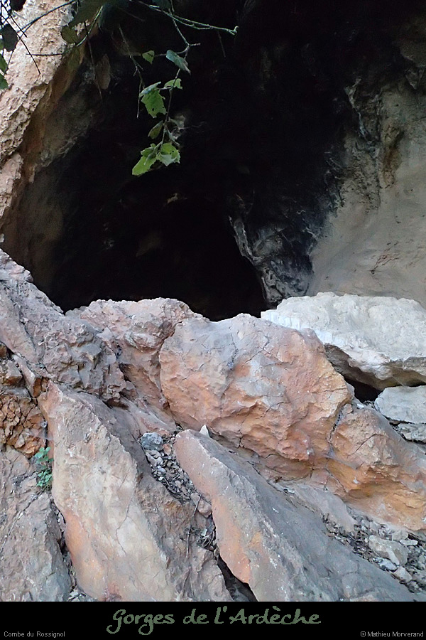 20140222_comberomains_baume1