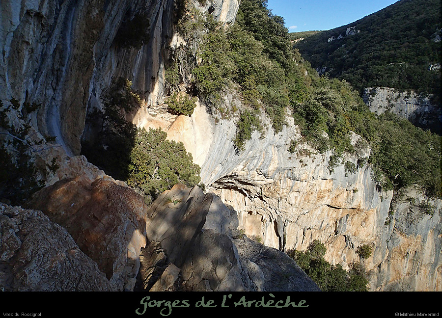 20140222_comberomains_vire04.