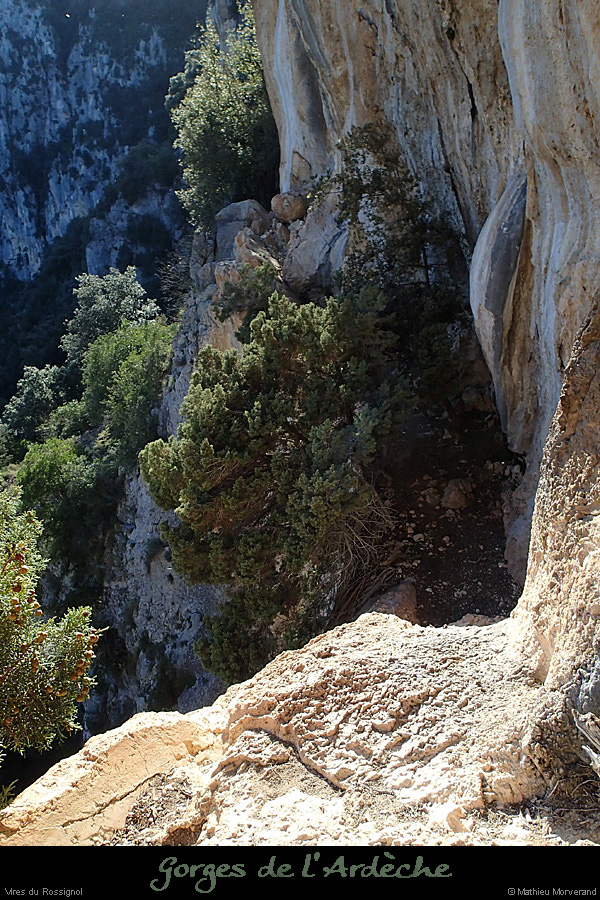 20140222_comberomains_vire09.