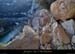 20140222_comberomains_vire02.