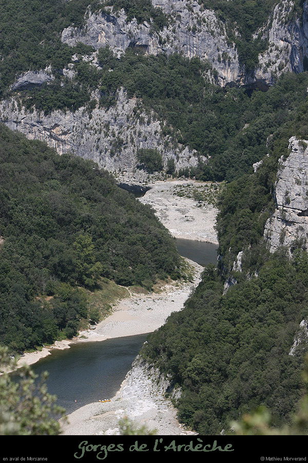 20070722_platane_aval1