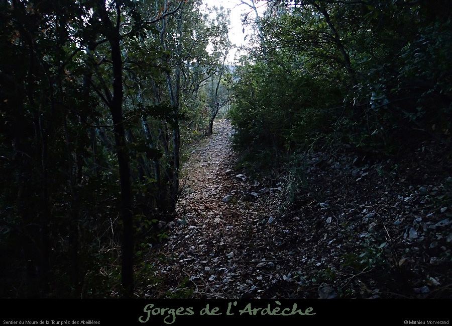 20140222_sentiermouredelatourest.