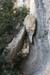 20081005_combemourredelatour_falaise