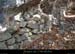 20140405_viressscourtinen1