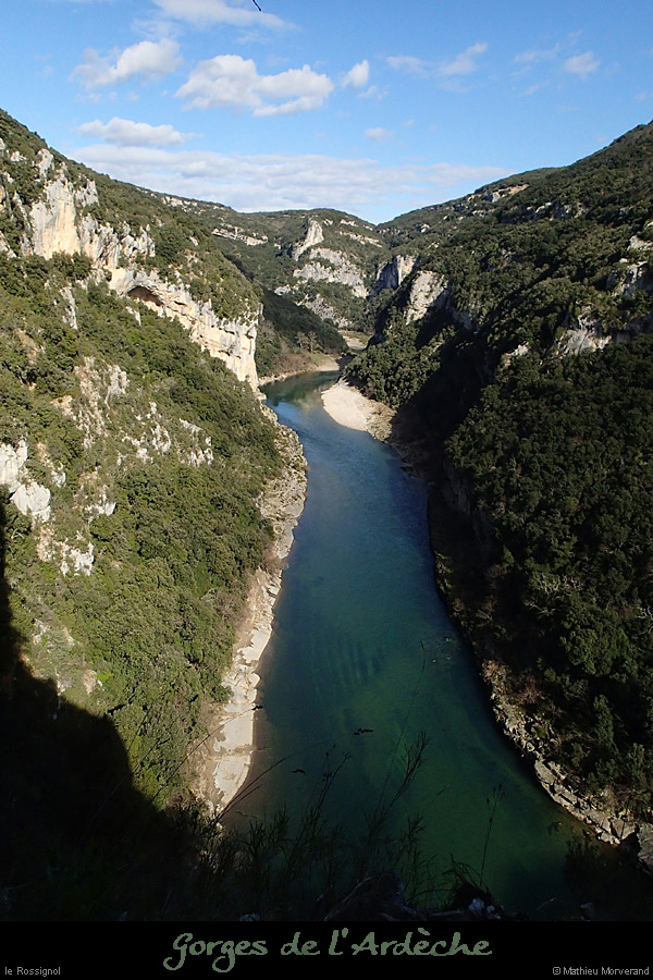 20140222_gorgesamdepuisptessfalaisesabeilleres03