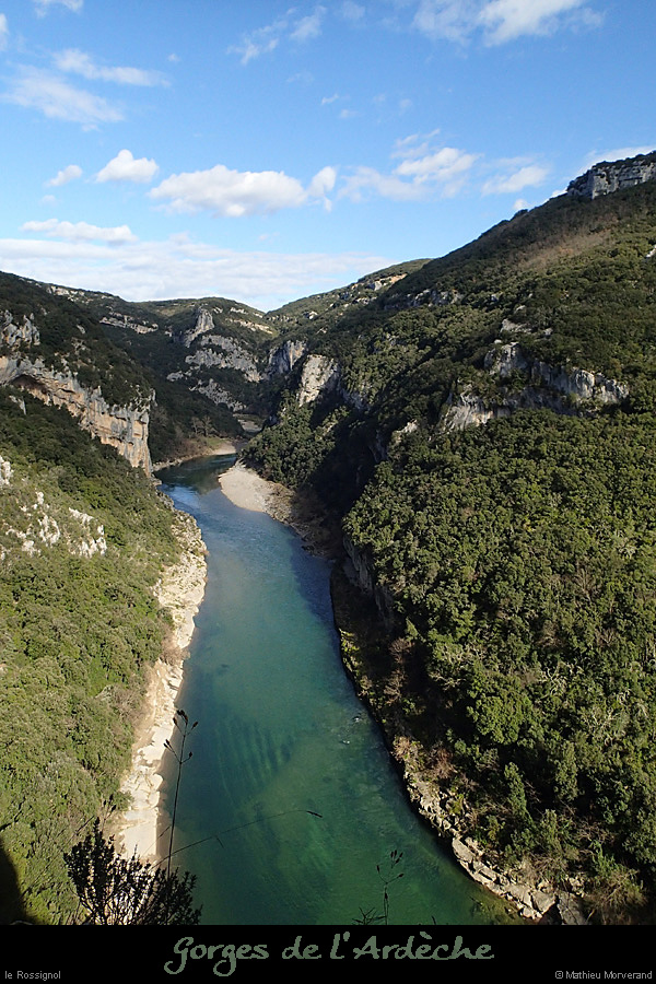 20140222_gorgesamdepuisptessfalaisesabeilleres04