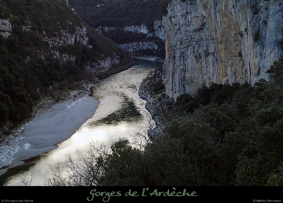 20140222_rossignol_amdepuisvire2.