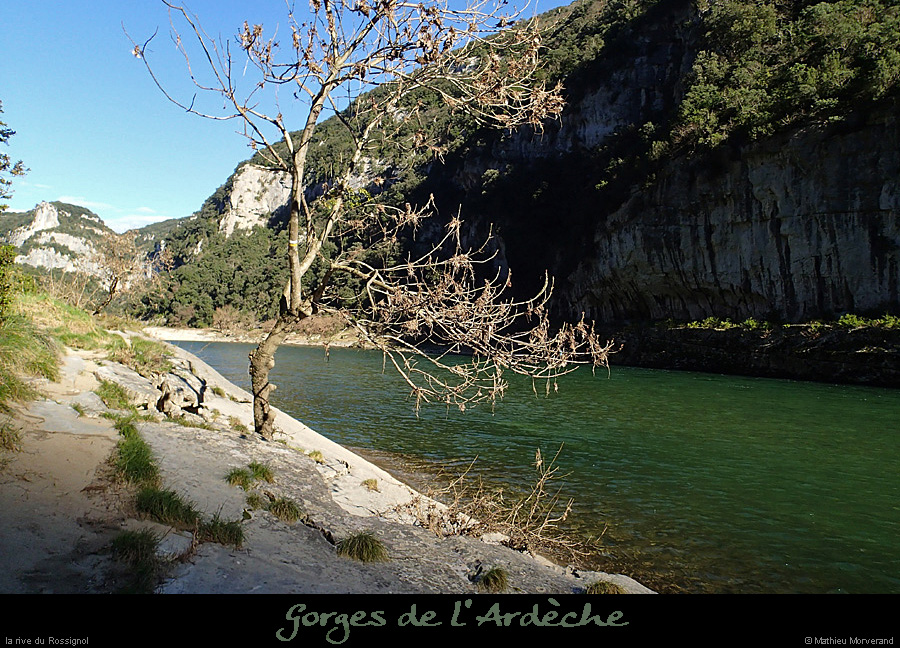 20140222_rossignol_rdamabeilleres1