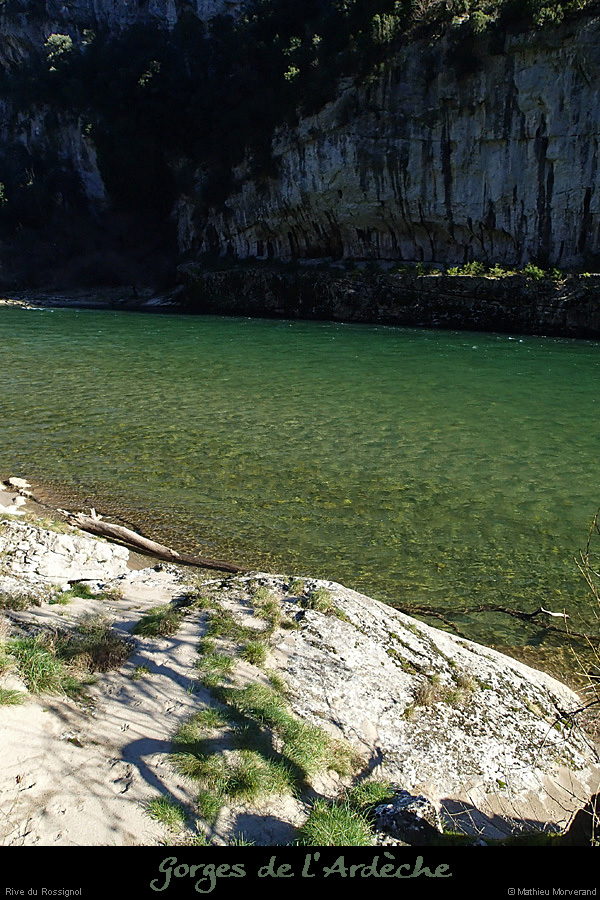 20140222_rossignol_rdamabeilleres5