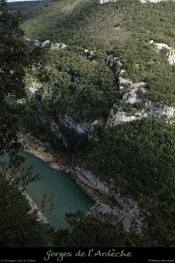 20140301_rossignoldecornicheabeilleres1