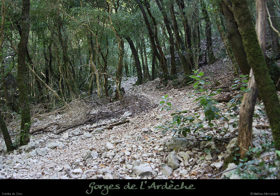 20070722_combe_cros_sentier1