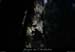 20070722_combe_cros_bois2