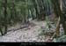 20070722_combe_cros_sentier1