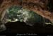 20070430_gournierderdbaume7