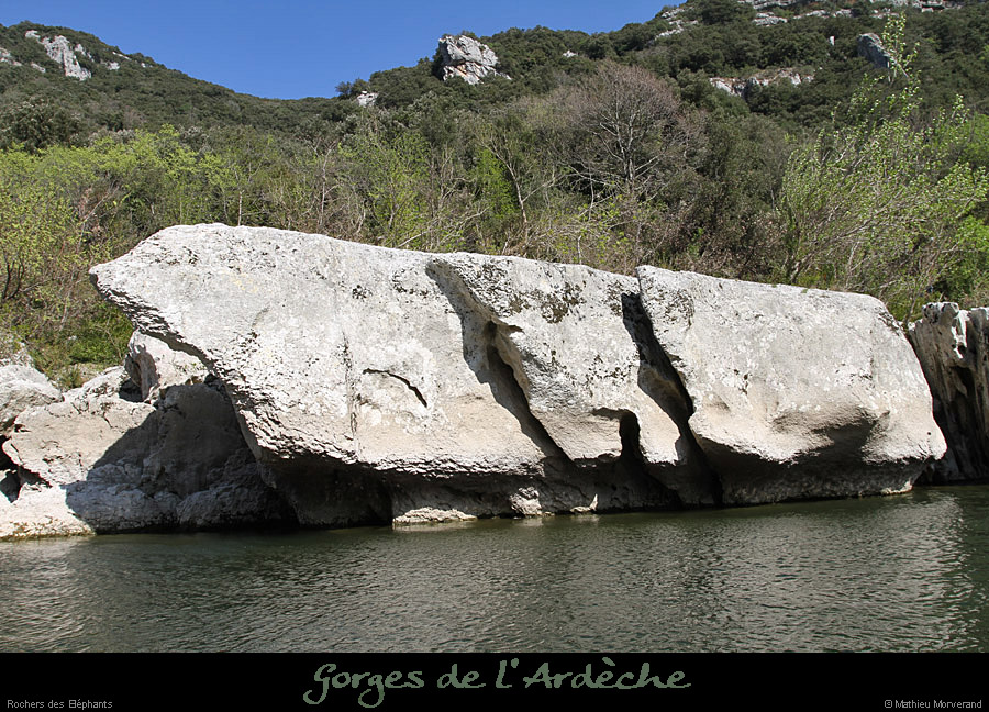 20120401_elephants