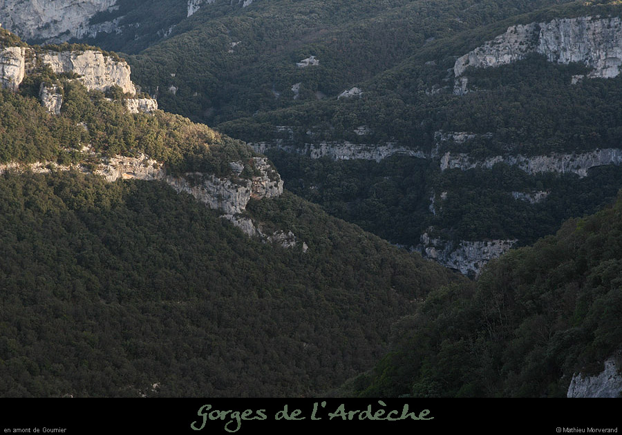 20071209_gournier_deabeilleres
