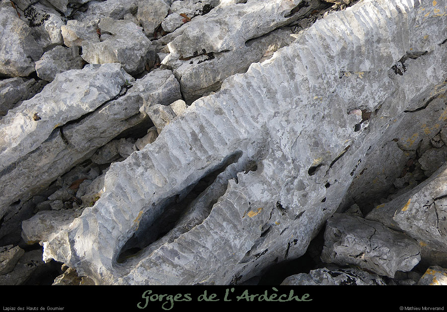 20100327_gournier_lapiazhtfalaises