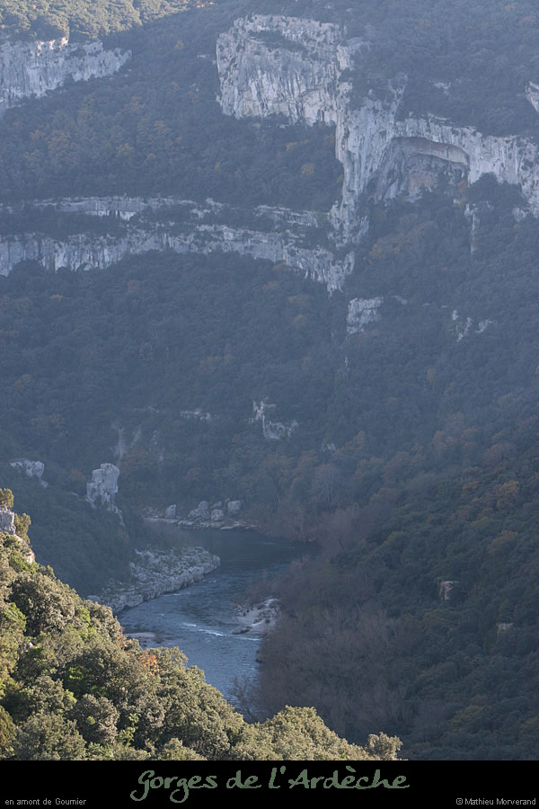 20081116_amgournier