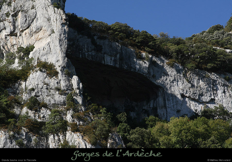 20090804_grdebaumedegournier3