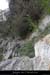 20070806_grdbaume_flassade07