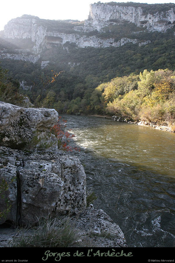 20091107_avguedeguitard2
