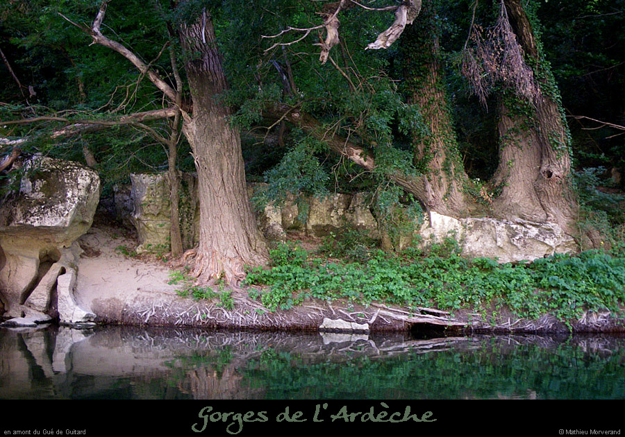 20100719_rgamguedeguitard