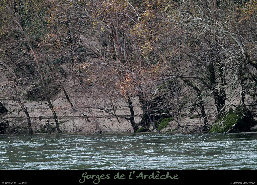 20111112_avguedeguitardrd