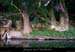 20100719_rgamguedeguitard