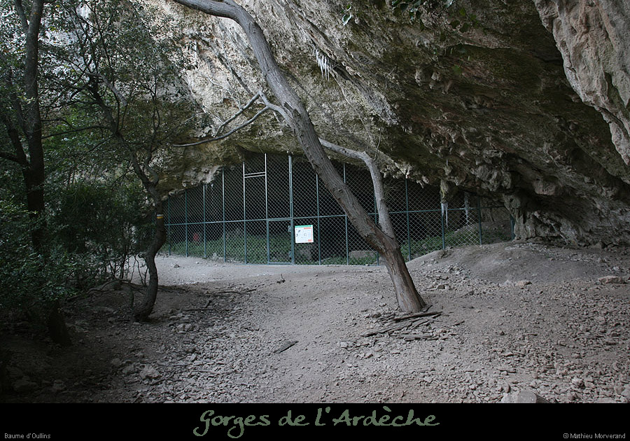 20091217_baumeoullins1