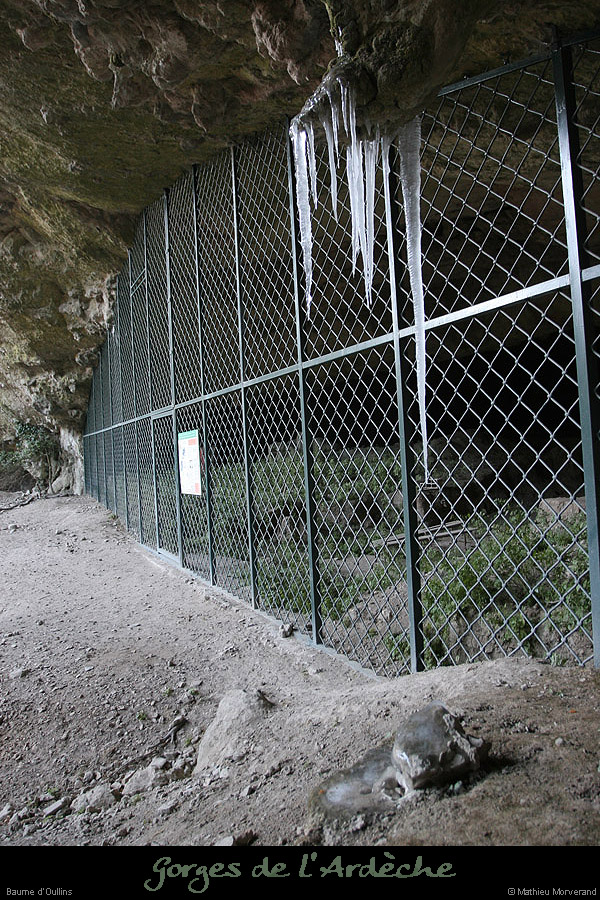 20091217_baumeoullins2