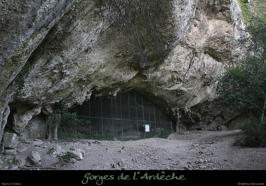 20091217_baumeoullins3