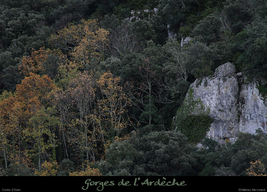 20121202_combedoullens1