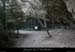 20091217_baumeoullins1