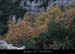 20121202_combedoullens2