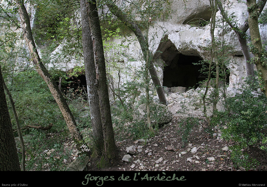 20070430_gournierderdbaume1
