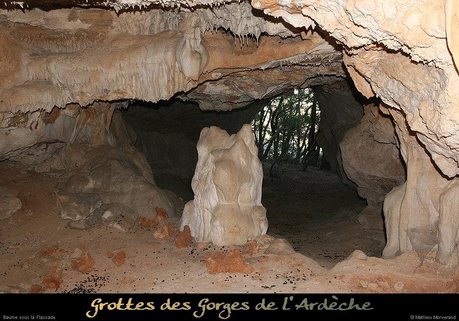 20091217_baumessupgournierrs04