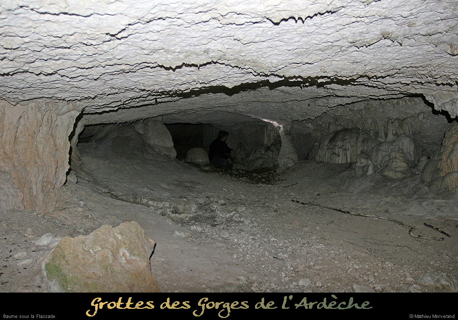 20091217_baumessupgournierrs05