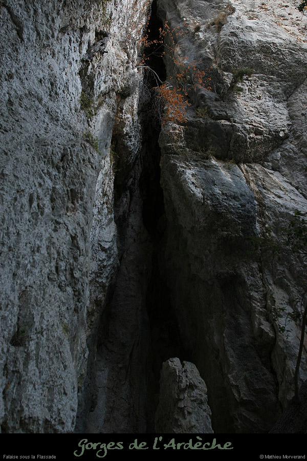 20091217_baumessupgournierrs08