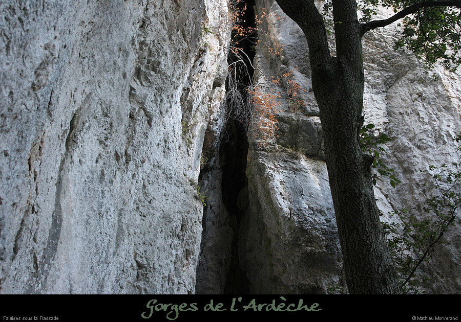 20091217_baumessupgournierrs09