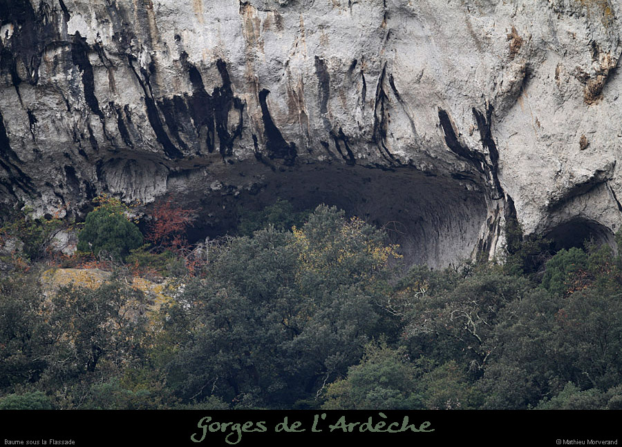 20111112_baumesslaflassade05