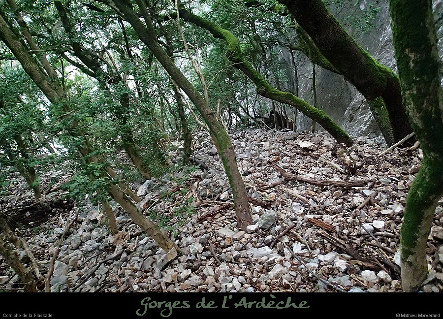 20140101_077