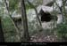 20070430_gournierderdbaume1