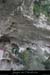 20070430_gournierderdbaume5