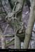 20070806_bois_ssflassade1