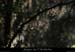 20070806_bois_ssflassade4