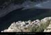 20080101_grdgour01