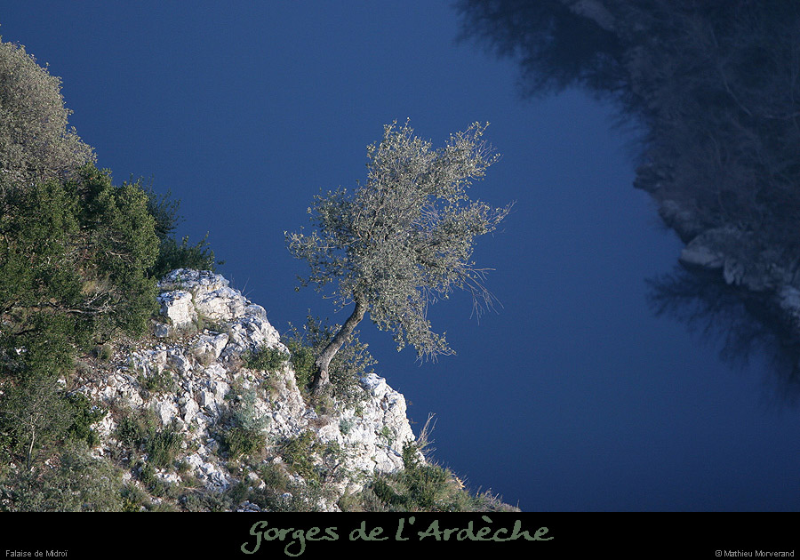 20061224_midroi