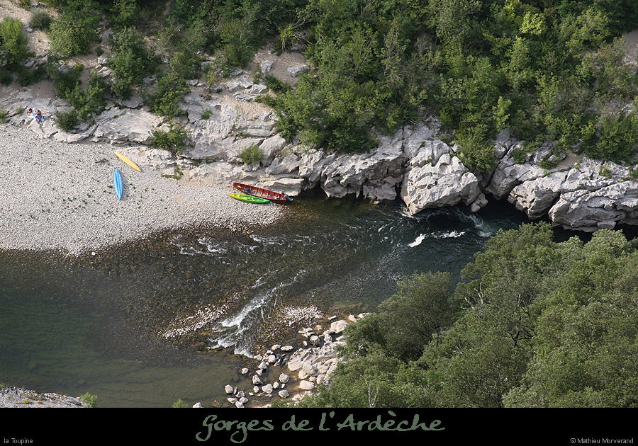 20070722_toupine