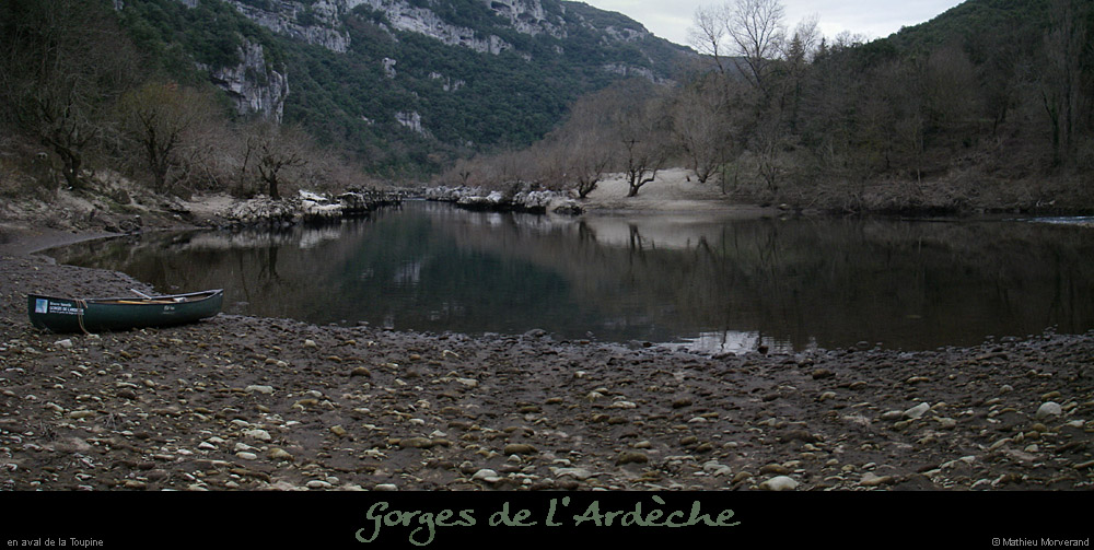 20080220_toupineaval