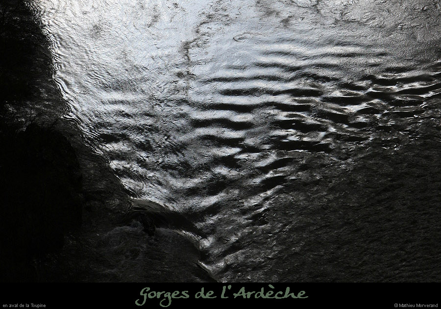 20100327_gournier_sortietoupineav03